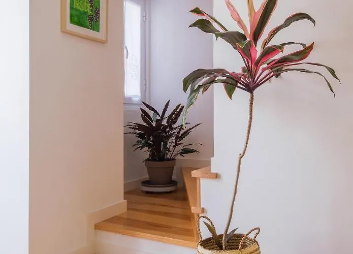 Botanic Garden Duplex *