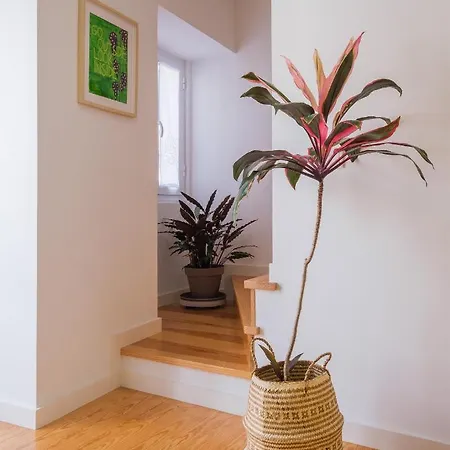 Botanic Garden Duplex *